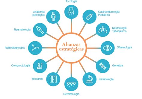 Alianzas Estrat Gicas Eii La Paz Enfermedad Inflamatoria Intestinal