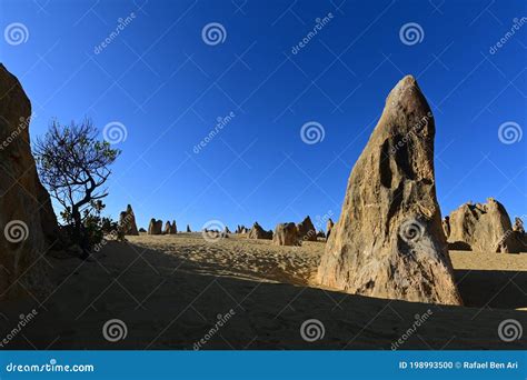 Landscape Of The Pinnacle Desert Limestone Formations Stock Photo