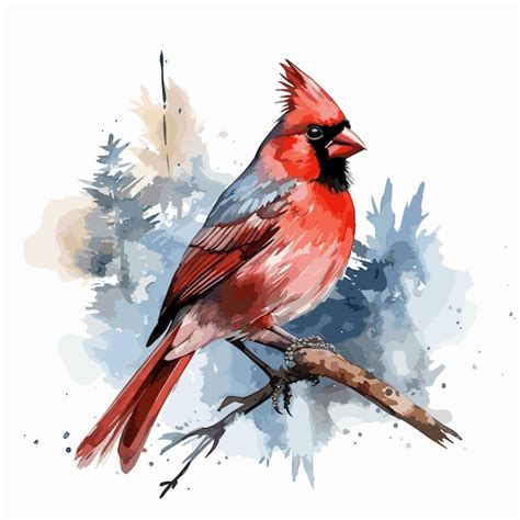 Premium Vector Beautiful Northern Cardinal Bird Watercolor Paint