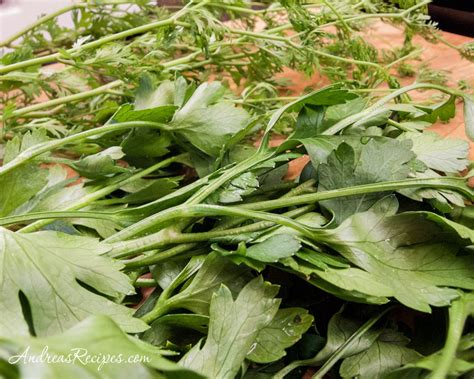 Parsley Cilantro Marinade and Dipping Sauce ~ Andrea Meyers