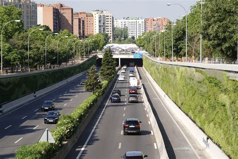 La Avenida De La Ilustraci N Acoge Calle Natura Los Jardines