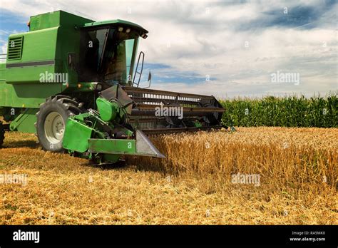 Farm wheat harvesting hi-res stock photography and images - Alamy