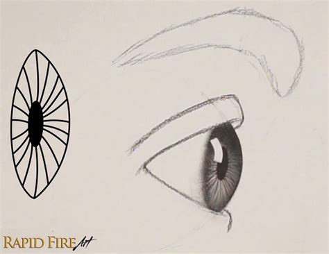 How to Draw a Realistic Eye From the Side and Eyebrow RFA 17_2 ...