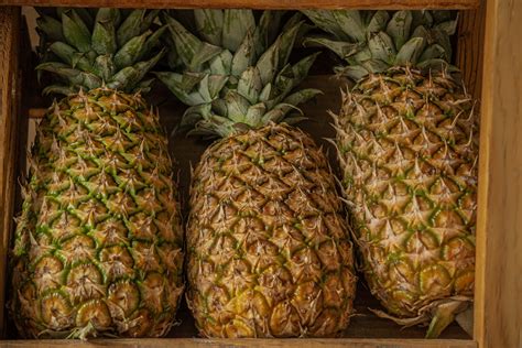 Kostenlose Bild Obst Ananas Bio Frisch Exotisch Tropische Reife