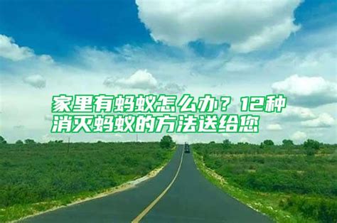 家里有蚂蚁怎么办？12种消灭蚂蚁的方法送给您 蚂蚁防治 除四害消杀灭虫网