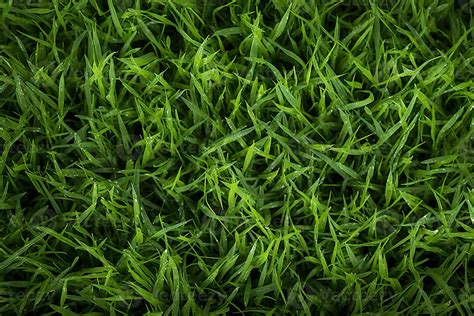 Ai Generated Green Grass Texture Background Close Up Of Fresh Spring Grass Top View 36755219