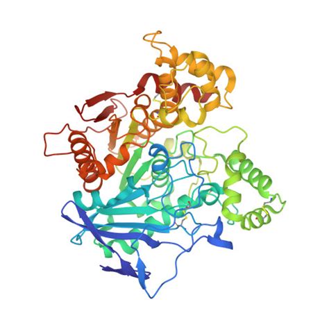 Rcsb Pdb 7bo4 Human Butyrylcholinesterase In Complex With 3 2 Butyl2 Cycloheptylethyl