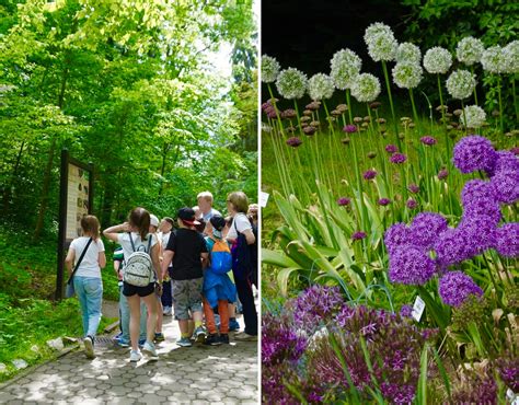 Copiii pot vizita GRATUIT Gradina Botanica din Cluj pe data de 1 iunie