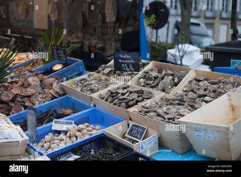 Oysters a French favourite at Christmas time, sold at Alençon market ...