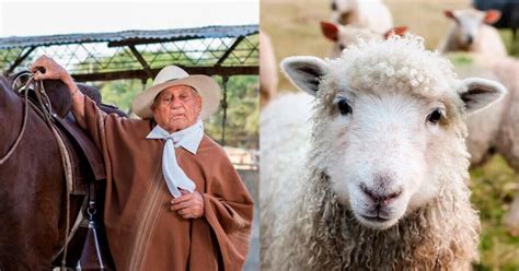 Hombre de 94 años pide ayuda por sus animales Sufren por falta de