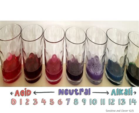 Science Experiment: Homemade PH Test - Sunshine and Clover 123