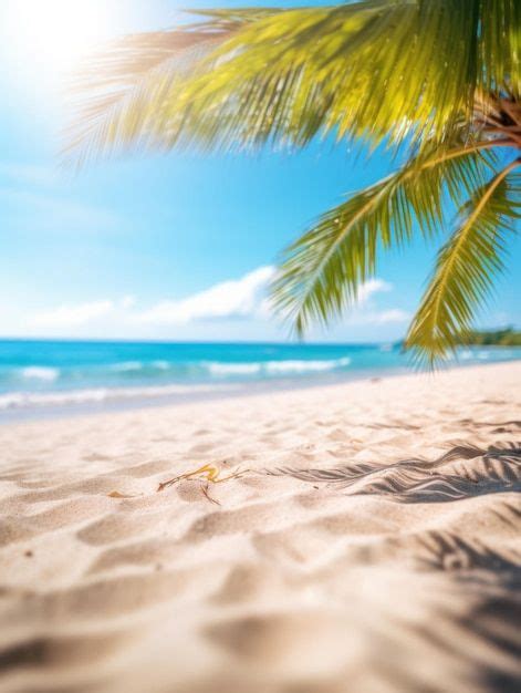 A Palm Tree Sitting On Top Of A Sandy Beach Next To The Ocean With Blue Sky