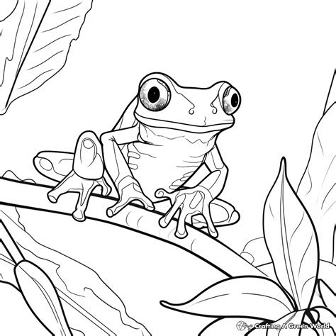 Red Eyed Tree Frog Coloring Pages Free And Printable