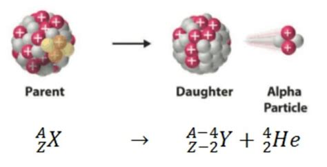 Radioactivity Physics Edexel Flashcards Quizlet