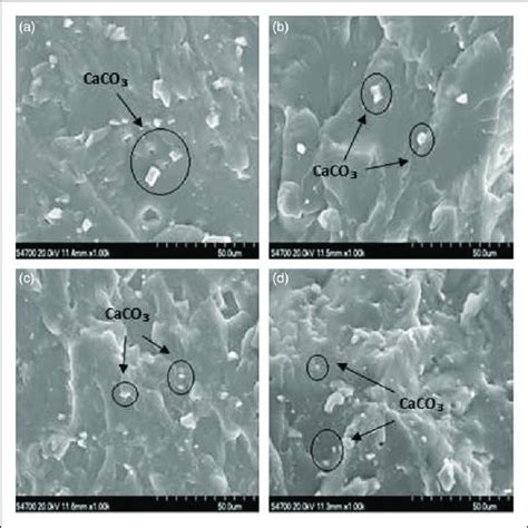 Sem Micro Graph Of Different Layers Of Pvc Films A One Layer B Download Scientific Diagram