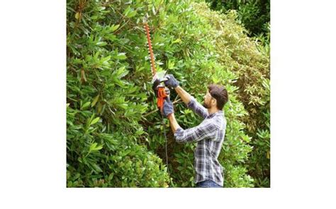 Black Decker Hedge Trimmer Review 2024 Corded Vs Cordless Uk Garden Reviews