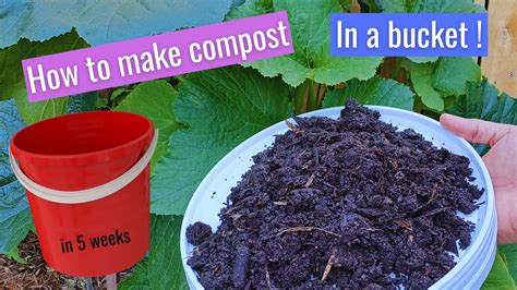 How To Make Compost In A Bucket In 5 Weeks For Beginners Youtube