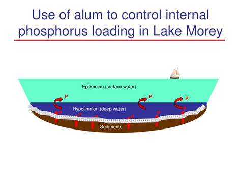 Ppt The Lake Morey Alum Treatment Looking Back After 20 Years Powerpoint Presentation Id