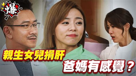 親生女兒捐肝 爸媽有感覺？《多情城市 Ep329精采片段》｜四季線上4gtv