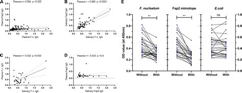 Frontiers Circulating And Salivary Antibodies To Fusobacterium