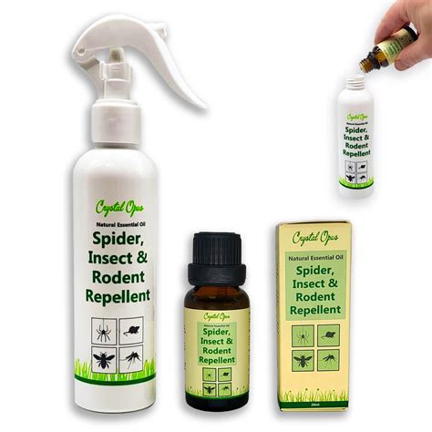 Makes 100 Bottles Of Spider Rodent And Bug Repellent Spray | Desertcart