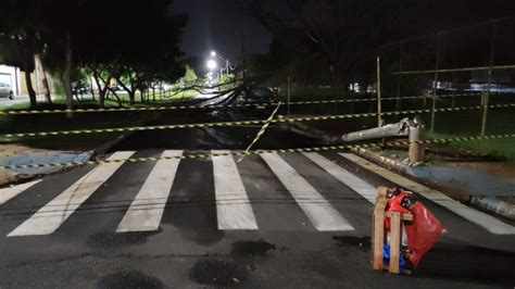 Chuva Volta A Causar Transtornos E Derrubar árvores Em Araraquara