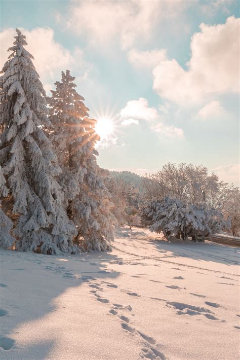 Free HD Winter Wallpaper Backgrounds For iPhone - Glory of the Snow