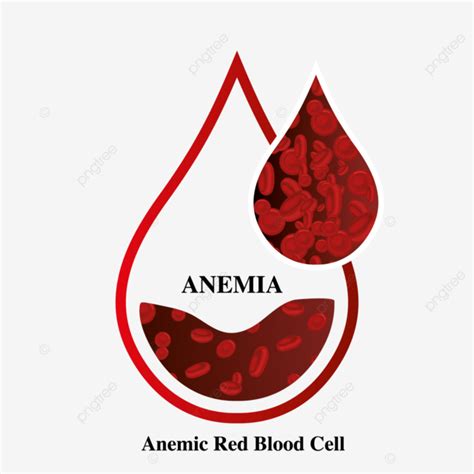 Anemia Iron Red Blood Cell Medical Vector Illustration Anemia Blood