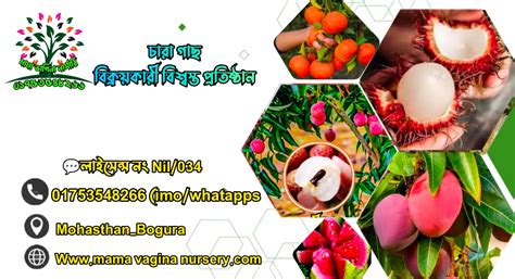 mama vagina narsari bogura