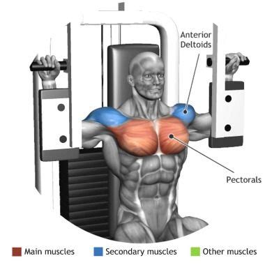 pec fly machine muscles worked - Nieves Thao