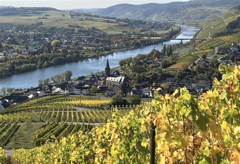 Your 2023 guide to Mosel wine region | Winetourism.com