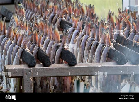 Arbroath Smokies being prepared Stock Photo - Alamy