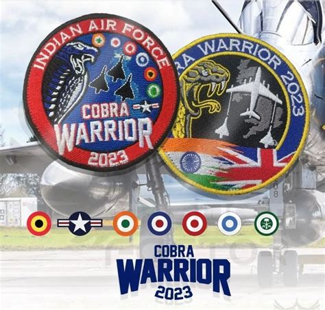 Cobra Warrior Patches