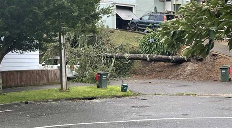 Cyclone Gabrielle Updates New Zealand Declares National State Of