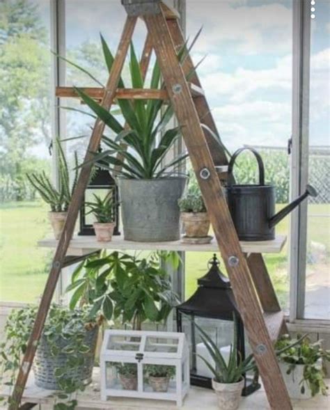 Pin By Laurie Prink On Climbing That Ladder To Success Diy Plant