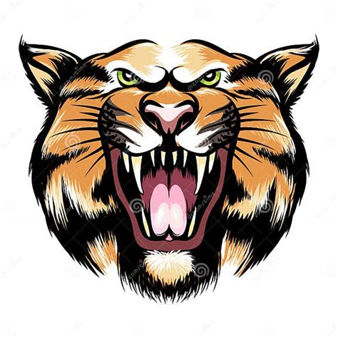 Roaring Tiger Head Stock Vector Illustration Of Rage 68363052