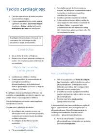 Resumo Tecido Cartilaginoso Docsity