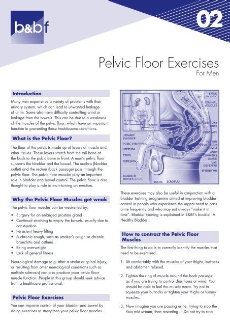 Layer Syndrome Pelvic Floor Exercises