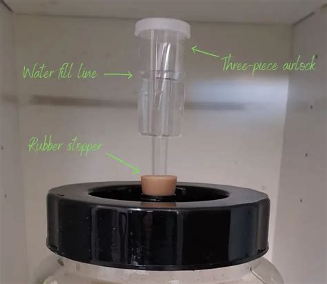 What Does An Airlock Do In Homebrewing Is It Really Needed