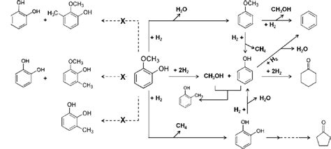 Reaction Network For The Conversion Of Guaiacol And H Catalyzed By