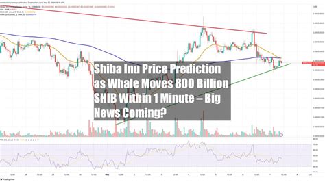 Shiba Inu Price Prediction As Whale Moves 800 Billion SHIB Within 1