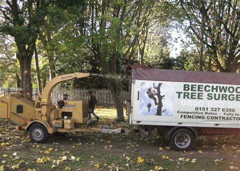 Waste Removed Beechwood Tree Surgeon