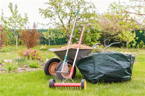 How To Clean Up After Dethatching