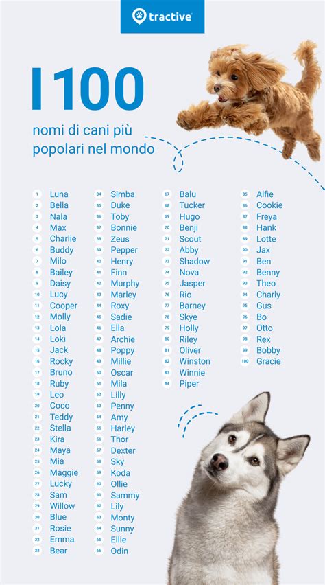 Nomi Gatto Femmina 9