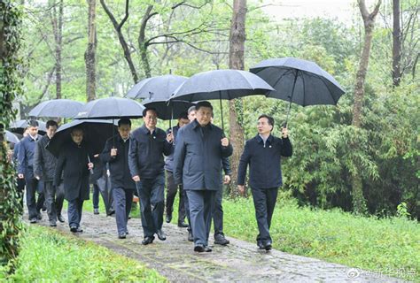 习近平：让湿地公园成为人民群众共享的绿意空间央广网