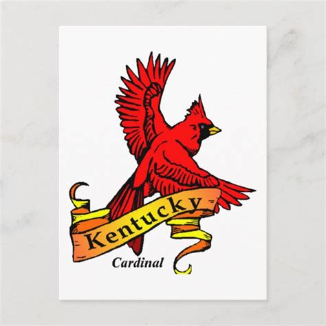 Kentucky State Bird Postcard | Zazzle.com