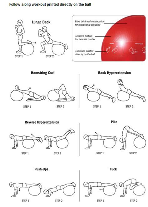 Printable Meralgia Paresthetica Exercises - Printable And Enjoyable ...