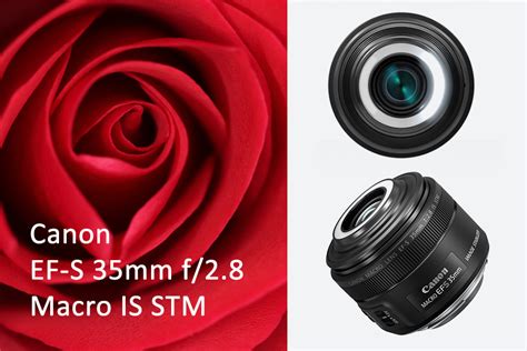 Canon Announces Compact Lightweight EF S 35mm F 2 8 Macro IS STM Lens