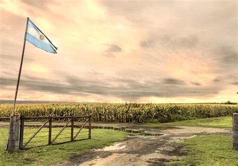 Widespread Rains Bring Relief To Argentinas Grain Crops Tridge