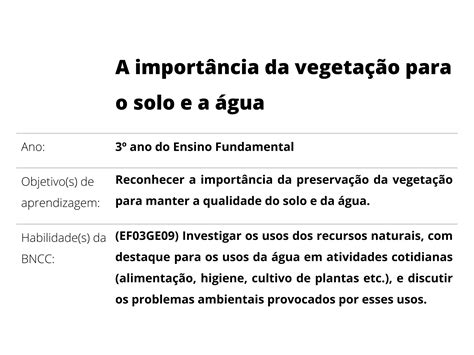 A importância da vegetação para o solo e a água Planos de aula 3º